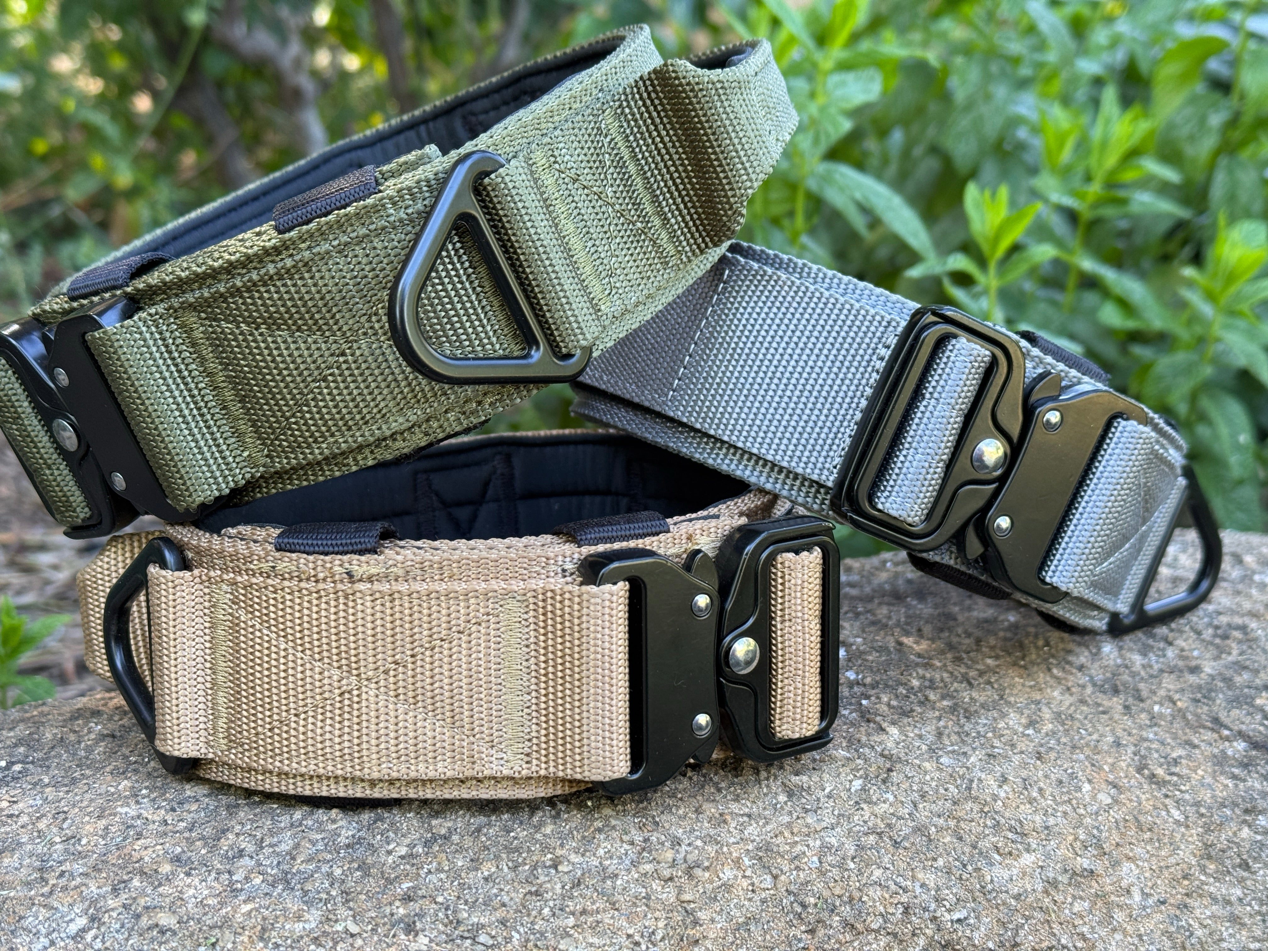 Collar táctico militar gris K9 Godthund variantes de colores de coleccion