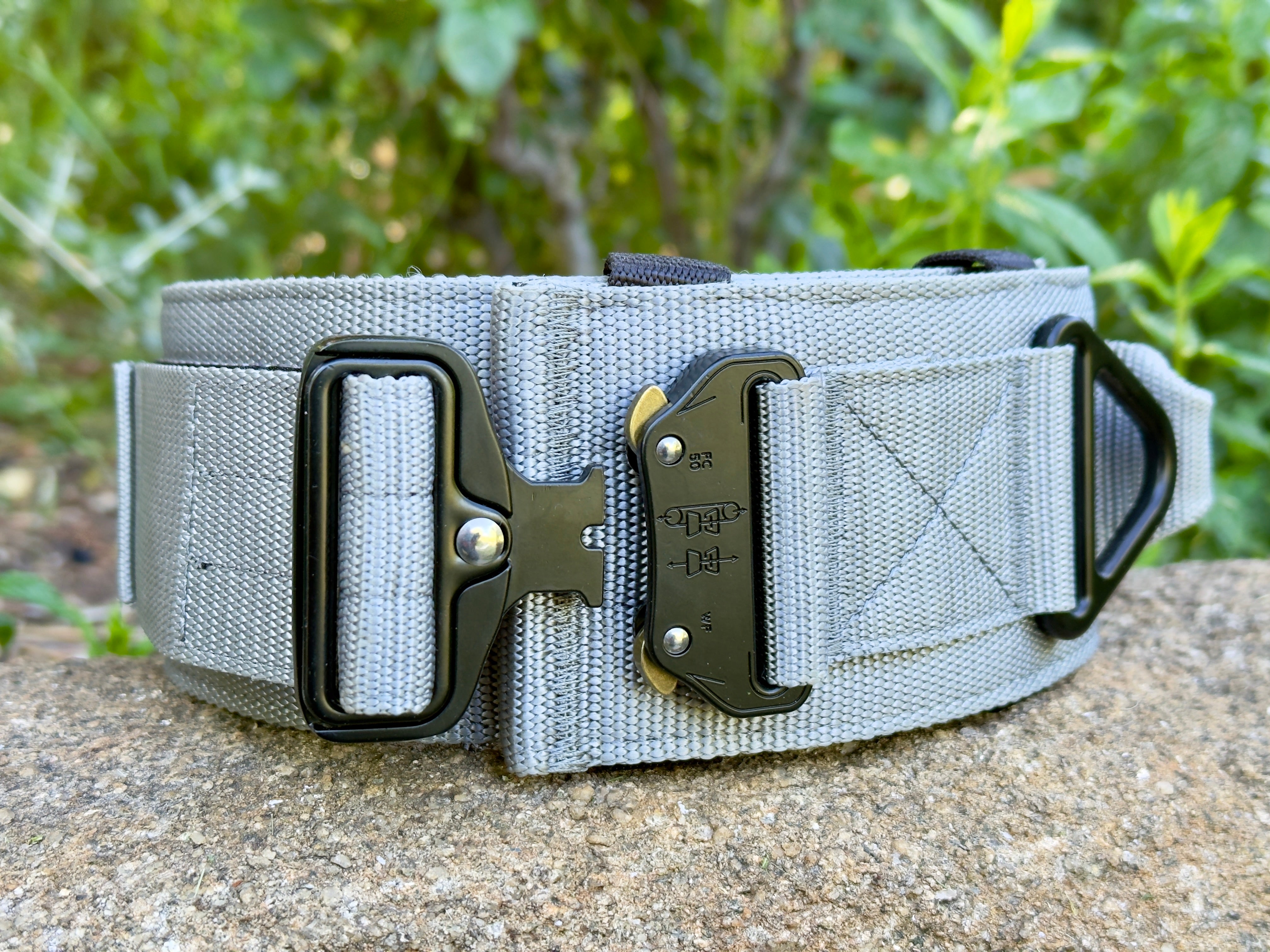 Collar táctico militar gris K9 Godthund detalle apertura cierre hebilla tipo cobra